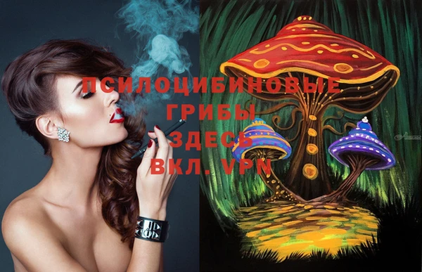 винт Кинешма