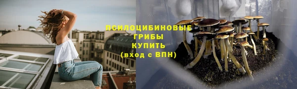 винт Кинешма