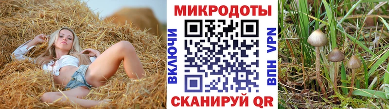 Псилоцибиновые грибы мицелий  Купить где  Гусь-Хрустальный 